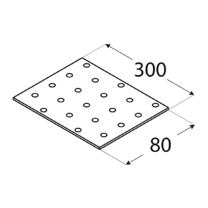 Placa Perforata 300x80x2 PP11