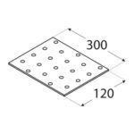 Placa Perforata 300x120x2 PP21