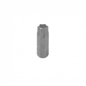 Set 10 BITI TORX T50 DOMAX